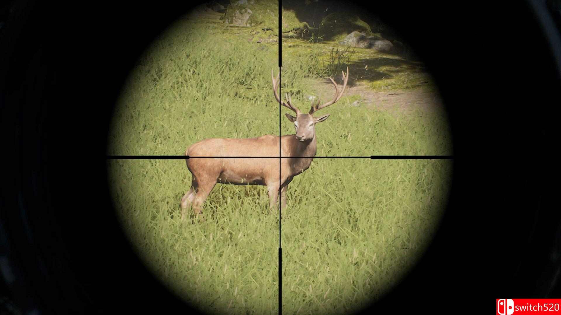 《狩猎计划（Project Hunt）》官方中文 集成孤星狩猎牧场DLC TENOKE镜像版[CN/EN/JP]_3