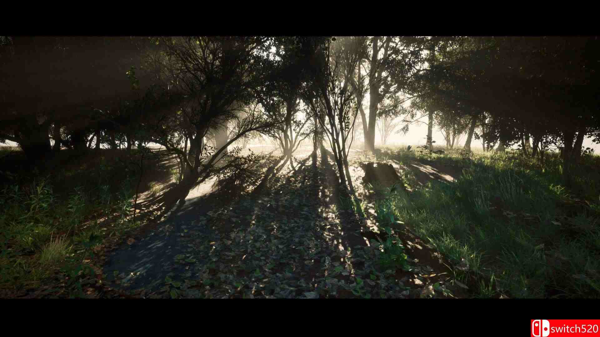 《尼采的阴影（Nietzsche's Shadow）》TiNYiSO镜像版[EN]_4