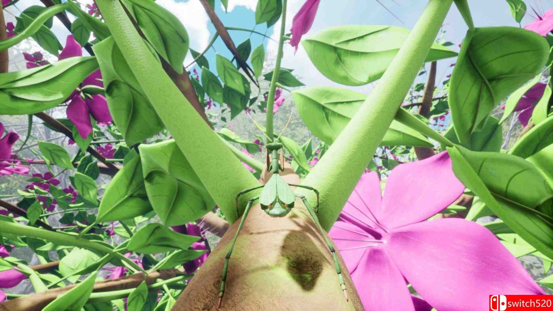 《自然与生命：沉醉于花蜜（Nature And Life Drunk On Nectar）》v1.0.4.5.1 TENOKE镜像版[EN]_1