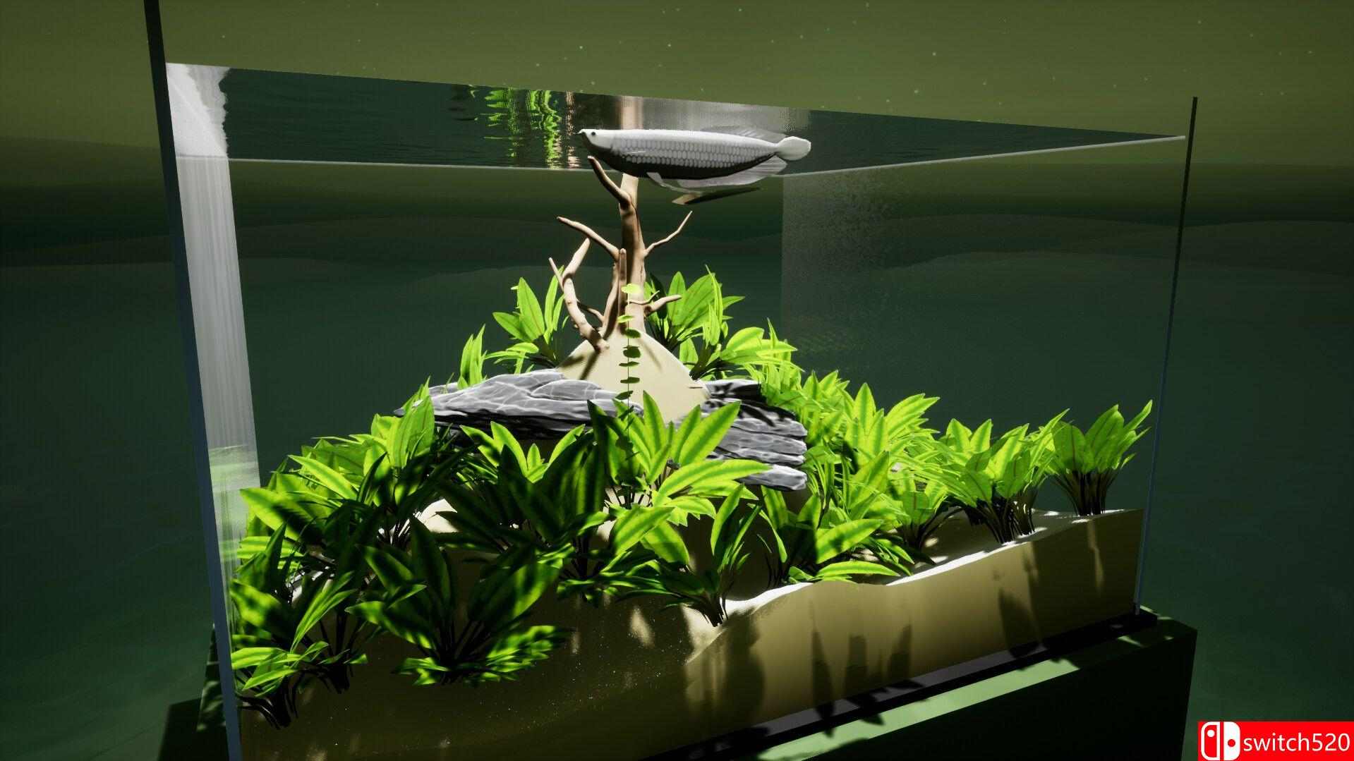 《养鱼模拟器（Fish Game）》集成贝塔鱼套装1 DLC TENOKE镜像版[EN]_1