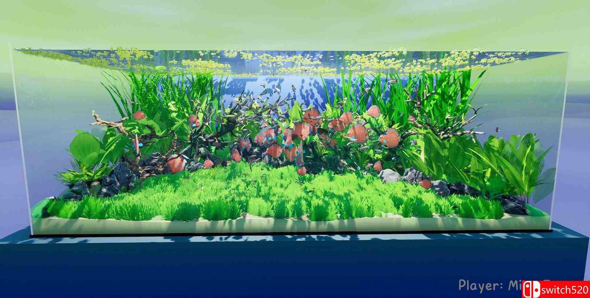 《养鱼模拟器（Fish Game）》集成贝塔鱼套装1 DLC TENOKE镜像版[EN]_5