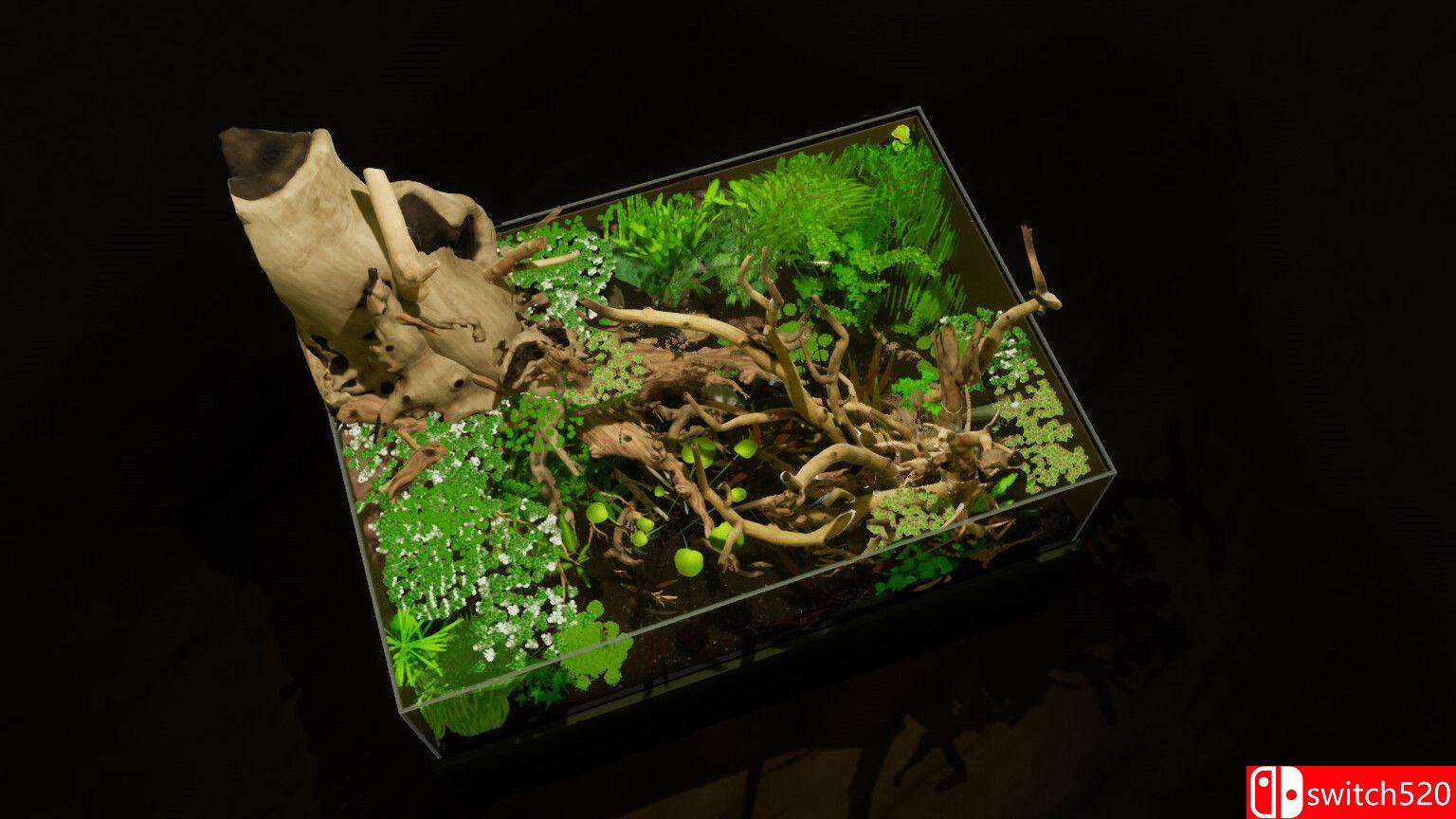 《养鱼模拟器（Fish Game）》集成贝塔鱼套装1 DLC TENOKE镜像版[EN]_4