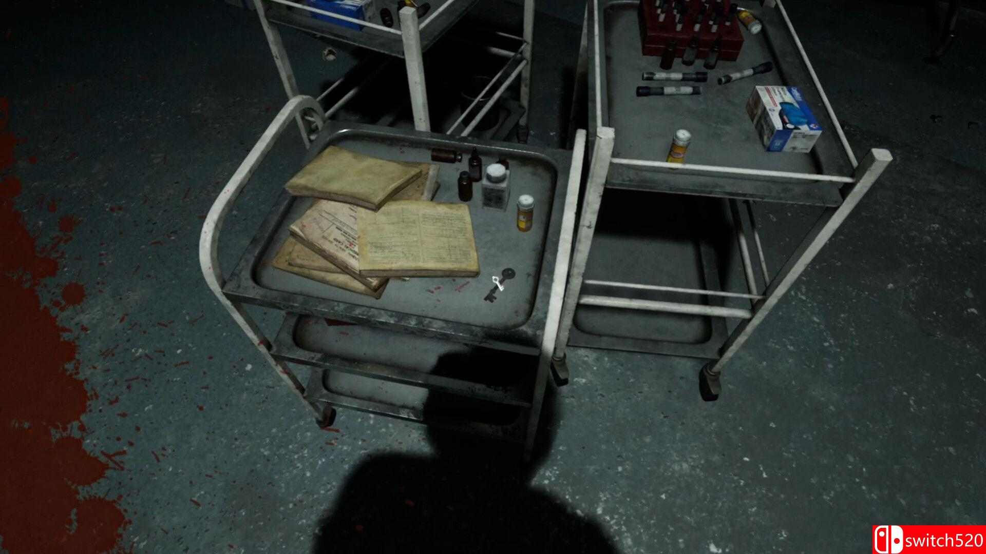 《诅咒医院（Cursed Hospital）》P2P硬盘版[EN]_4