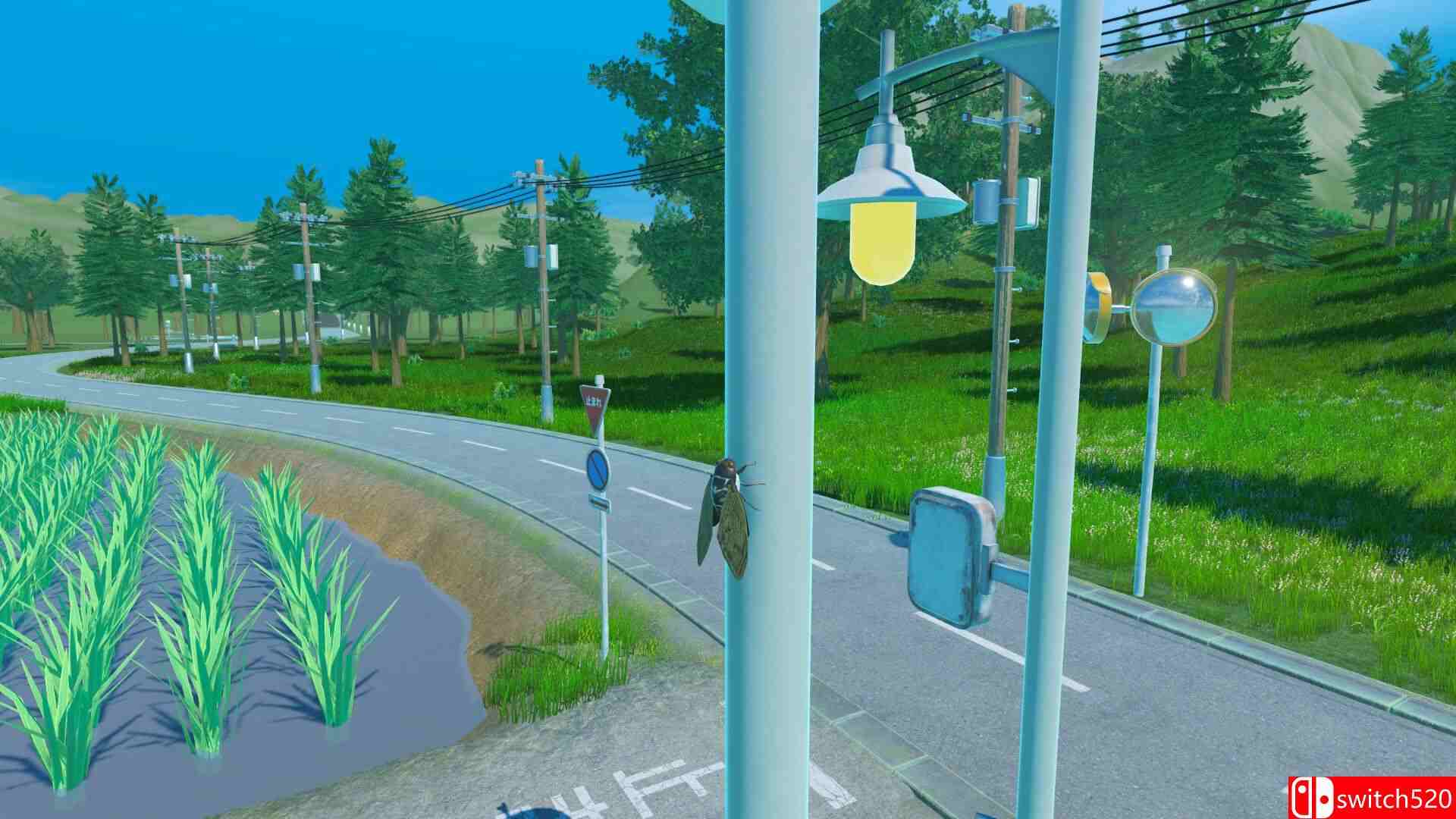 《蝉之生存（CICADA）》官方中文 TENOKE镜像版[CN/EN/JP]_3