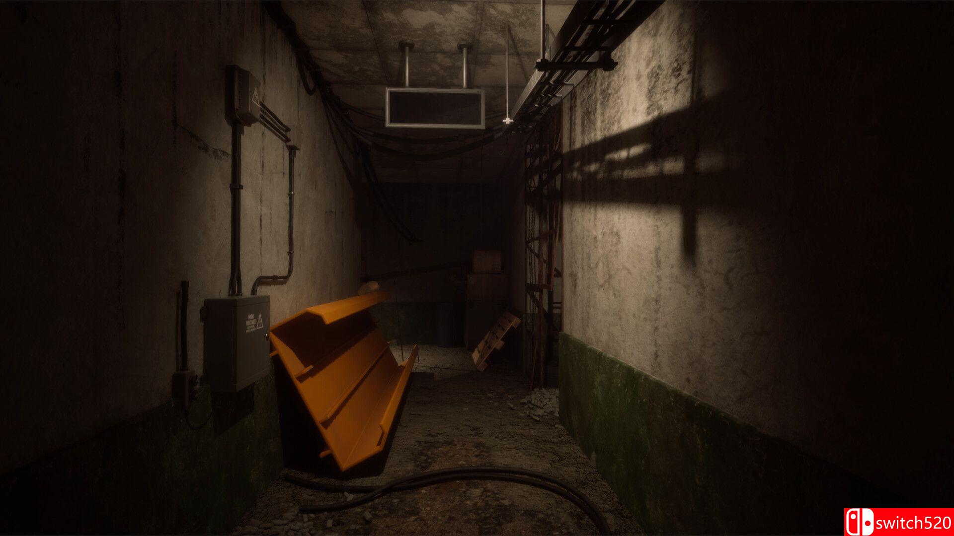 《昏暗之光（Dimmed Light）》官方中文 v19957276 P2P硬盘版[CN/EN]_3