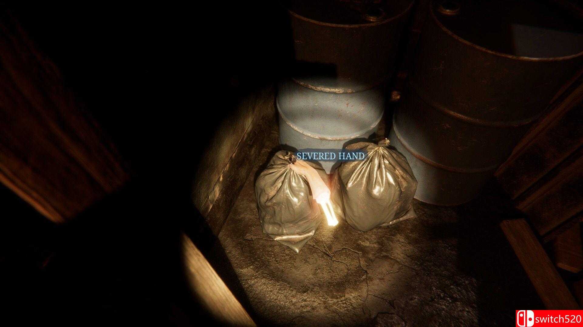 《这是约翰的房子（It's John's House）》官方中文 TENOKE镜像版[CN/EN/JP]_2