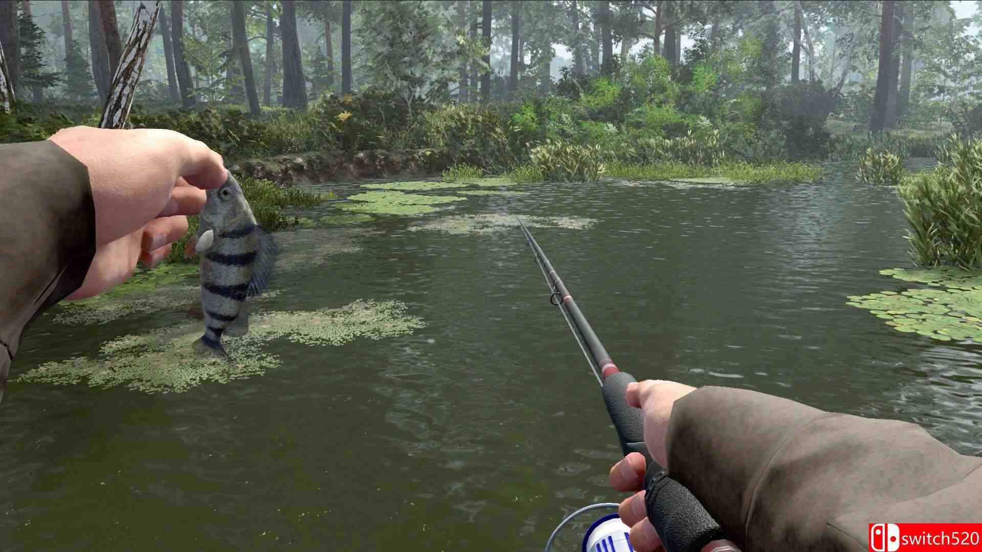 《职业钓鱼2（Professional Fishing 2）》官方中文 Early Access P2P硬盘版[CN/EN/JP]_5
