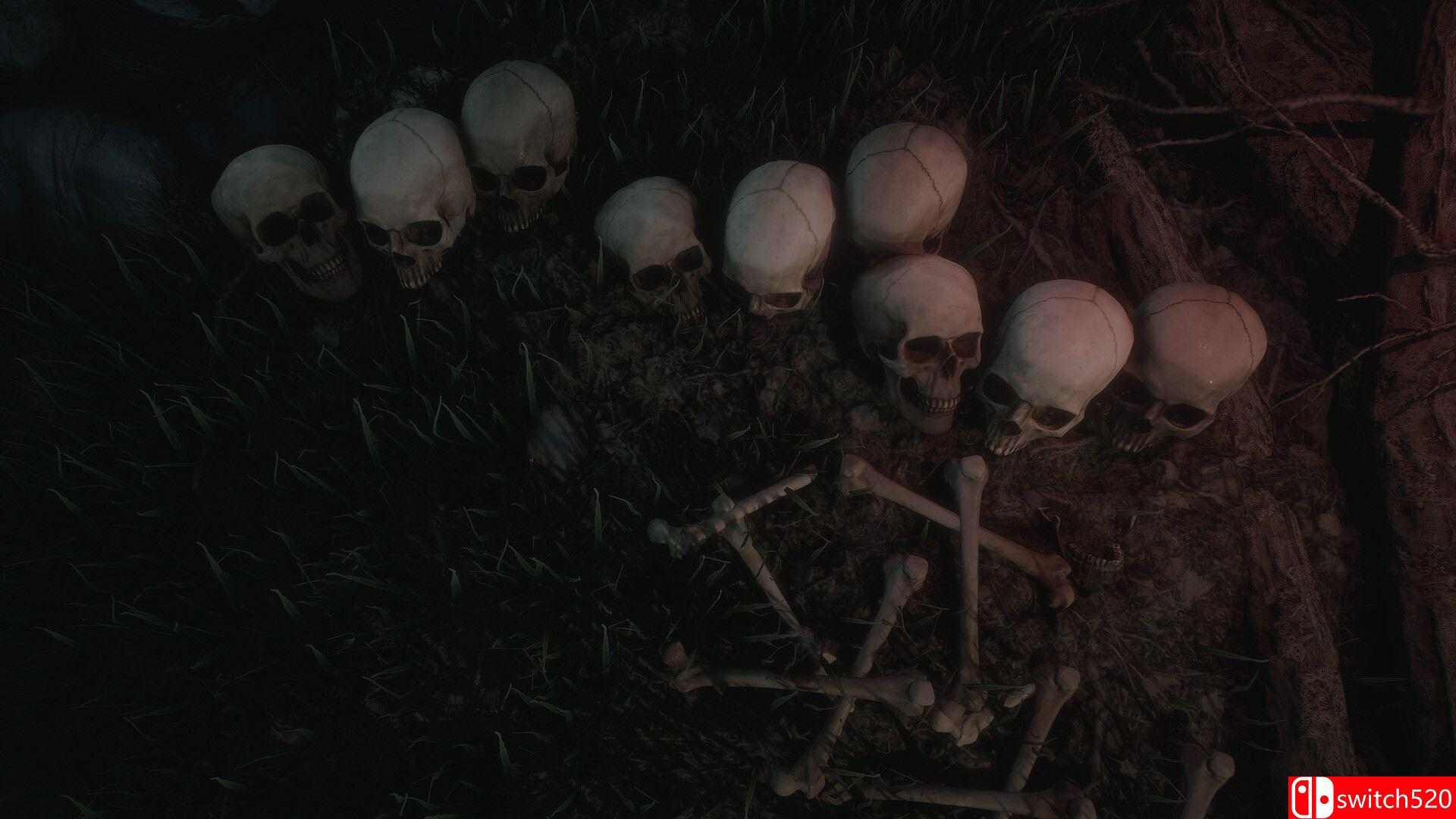 《波韦利亚：不归之岛（Poveglia: Island of Non Return）》Early Access P2P硬盘版[CN/EN]_4