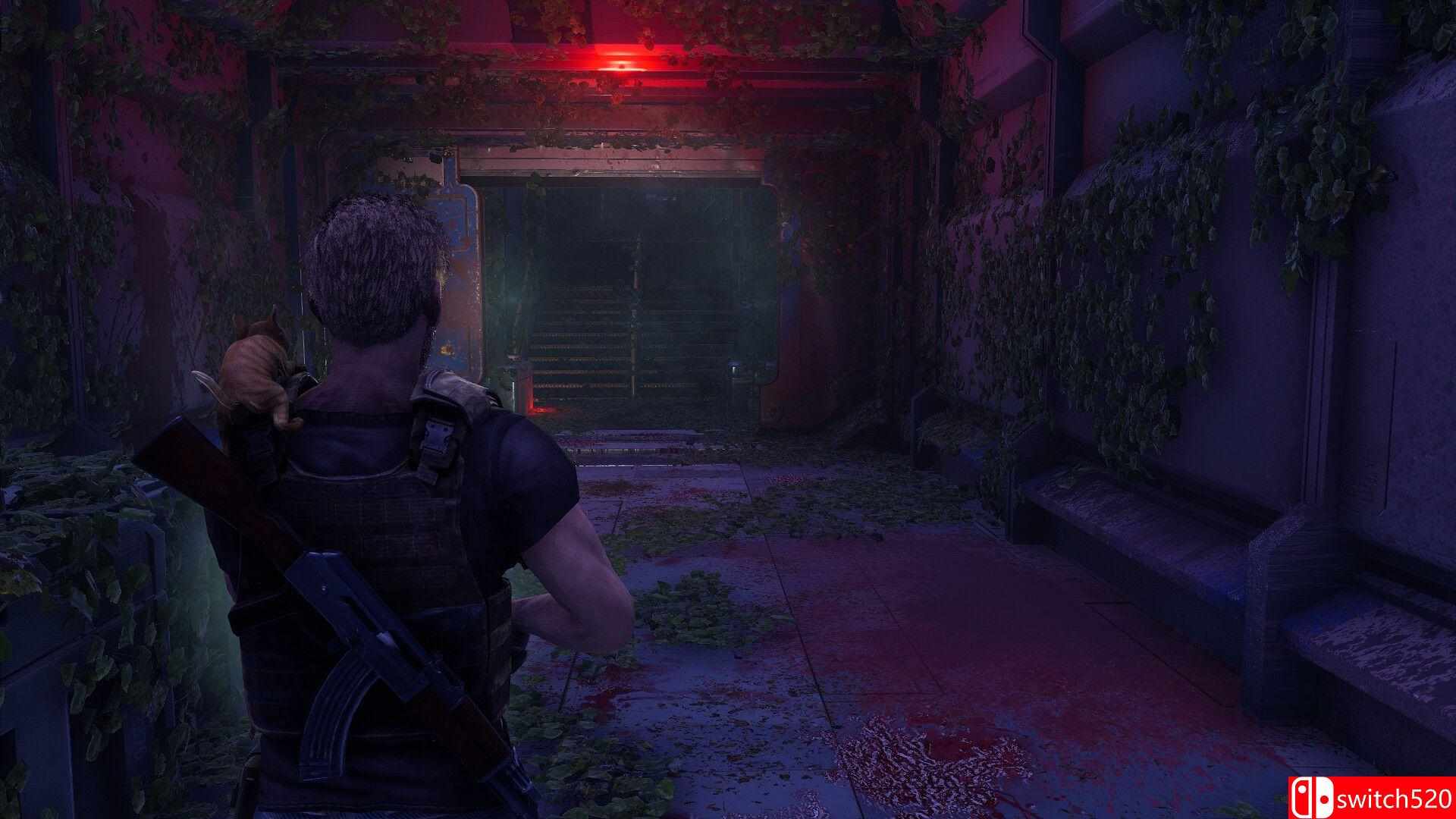 《衰变起源（DecayZ Origin）》Early Access P2P硬盘版[EN]_2