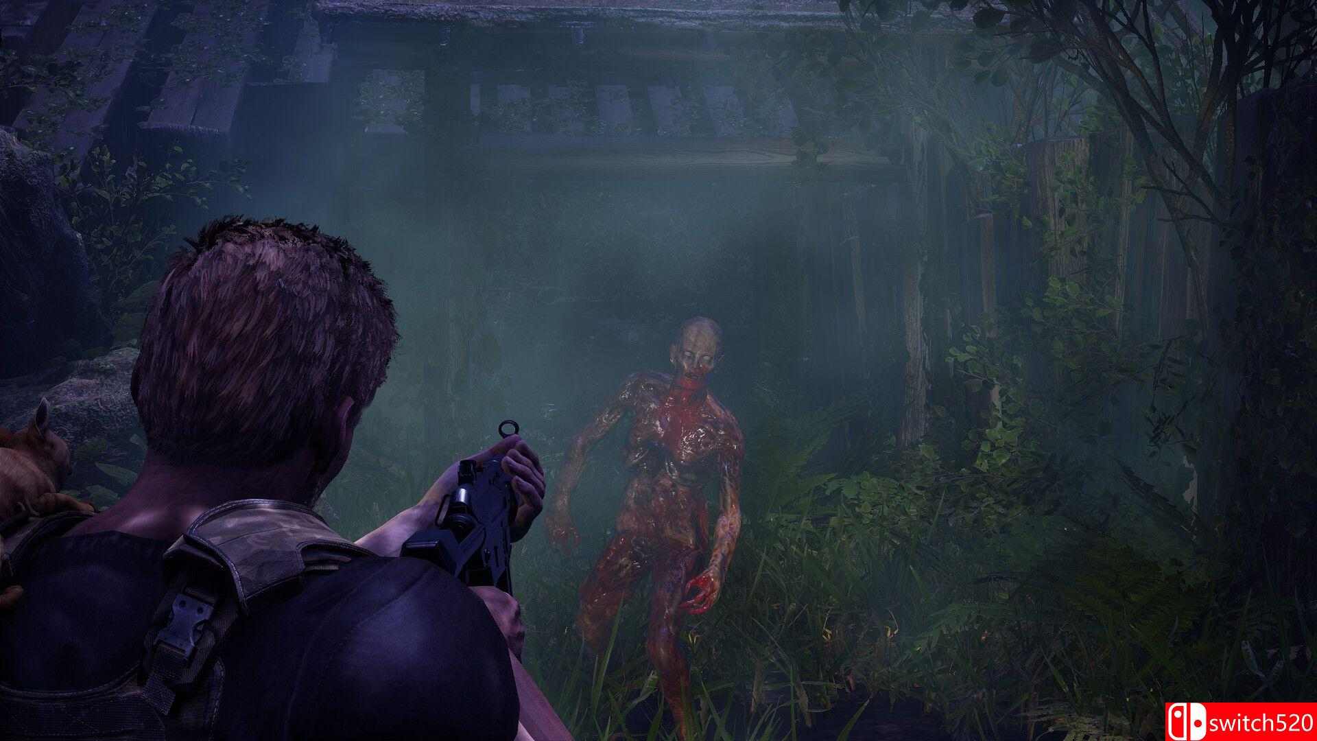 《衰变起源（DecayZ Origin）》Early Access P2P硬盘版[EN]_1