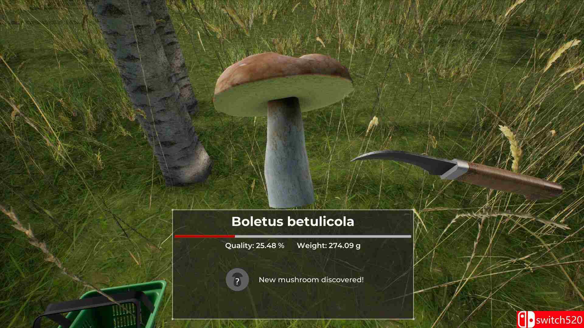 《蘑菇猎人世界（Mushroom Hunter World）》官方中文 TENOKE镜像版[CN/EN/JP]_2