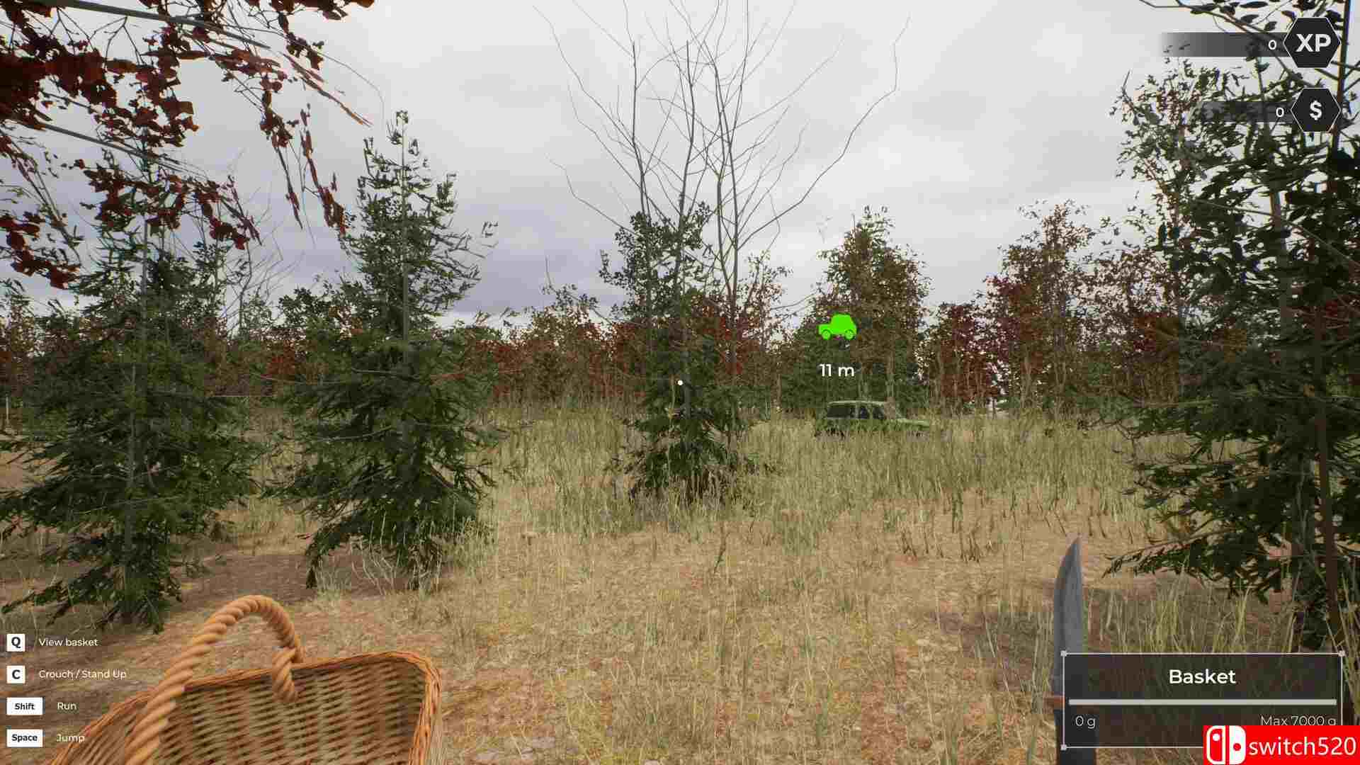 《蘑菇猎人世界（Mushroom Hunter World）》官方中文 TENOKE镜像版[CN/EN/JP]_5