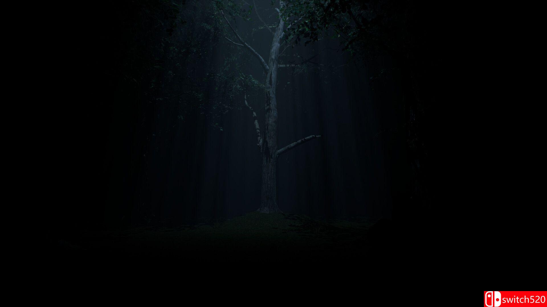 《格雷特洛档案（The Gretlow Tapes）》TENOKE镜像版[EN]_5