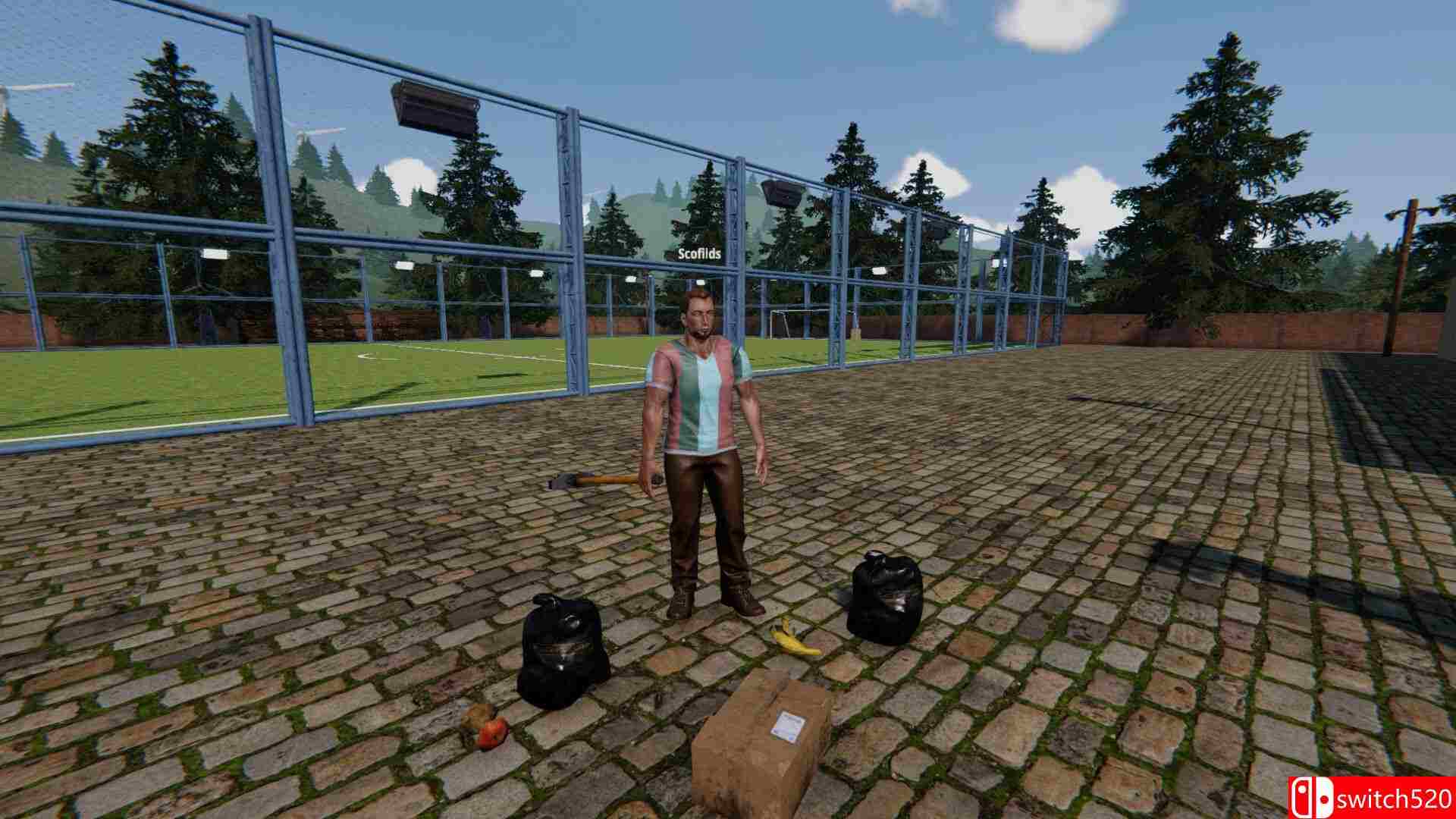 《足球场模拟器（Football Pitch Simulator）》官方中文 Build 20362264 P2P硬盘版[CN/EN/JP]_2