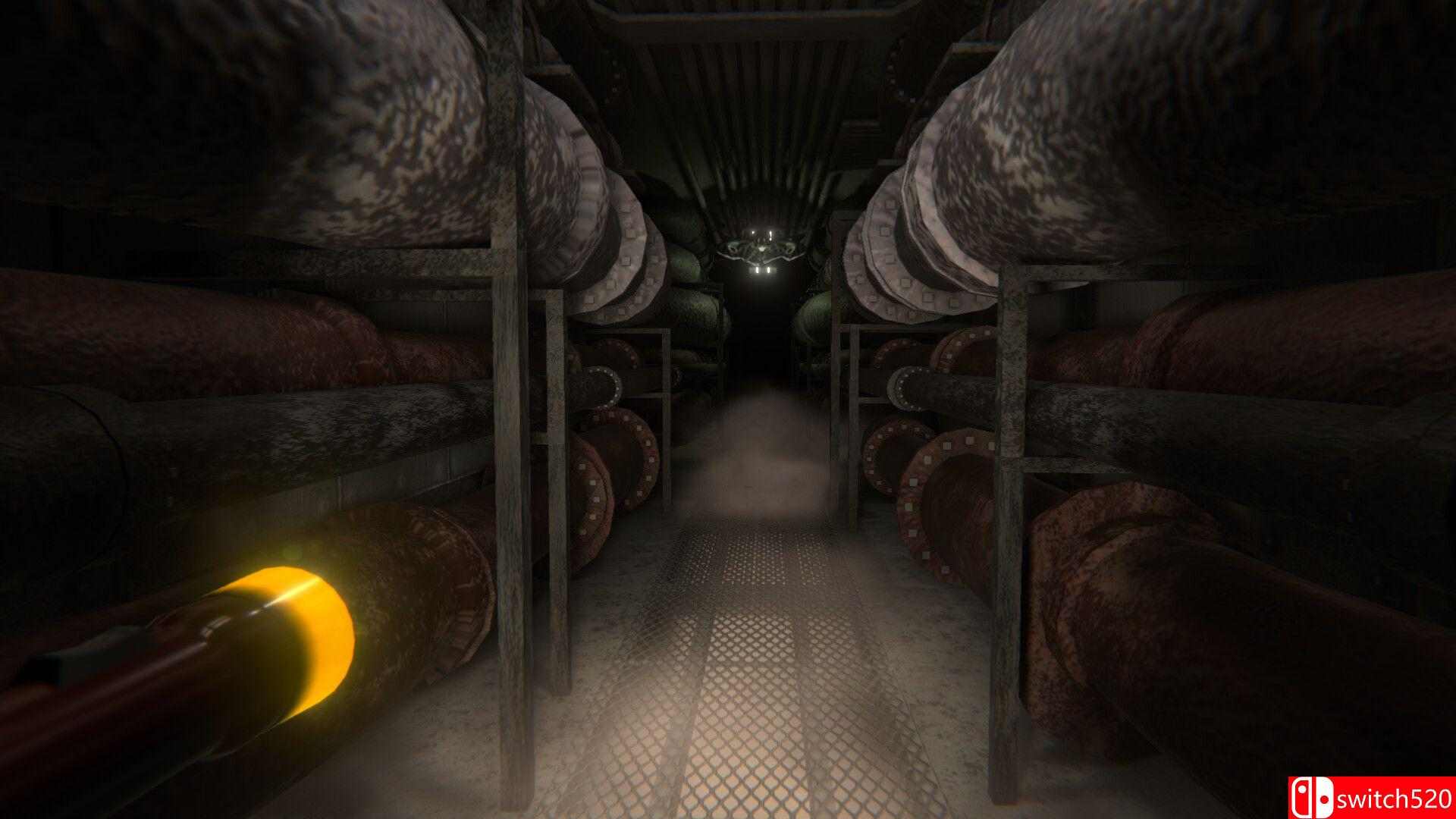 《穿界：超越密室（Transliminal: Beyond The Backrooms）》Build 20197898 P2P硬盘版[EN]_4