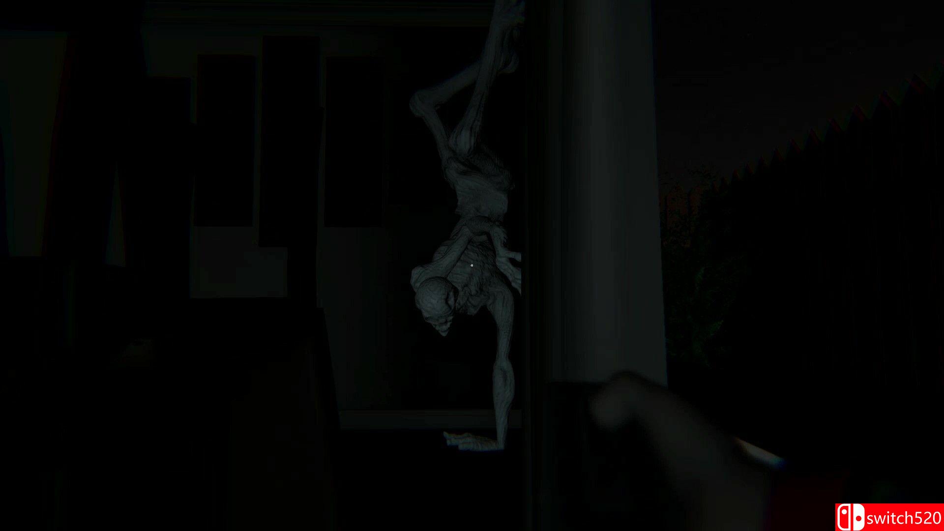 《夜尿症：游戏（Nocturia The Game）》TENOKE镜像版[EN]_3