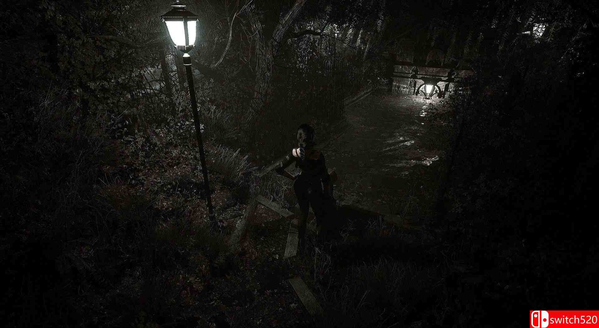 《生者回响（Echoes of the Living）》Early Access P2P硬盘版[EN]_4