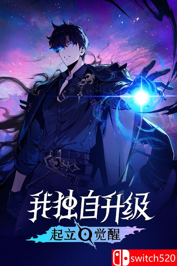 《我独自升级：起立·觉醒（Solo Leveling: ARISE OVERDRIVE）》官方中文 RUNE镜像版[CN/TW/EN/JP]