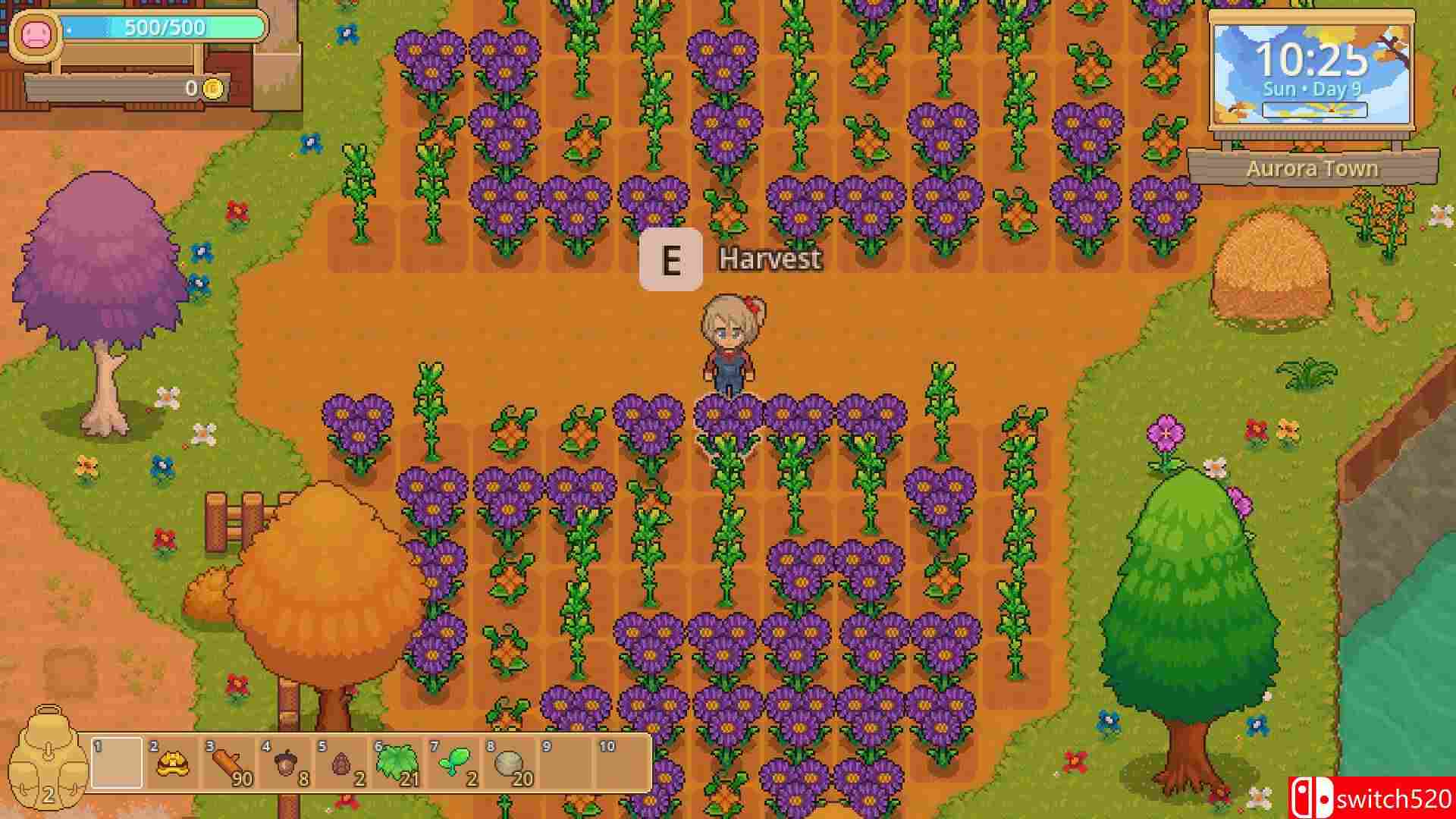 《宁静时光（Peaceful Days）》官方中文 TENOKE镜像版[EN]_2