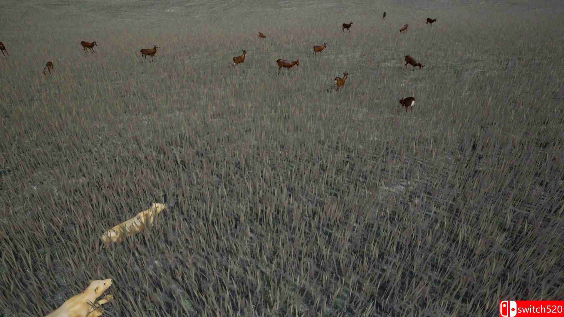 《生存主义：动物模拟（Survivalizm - The Animal Simulator）》TENOKE镜像版[EN]_3