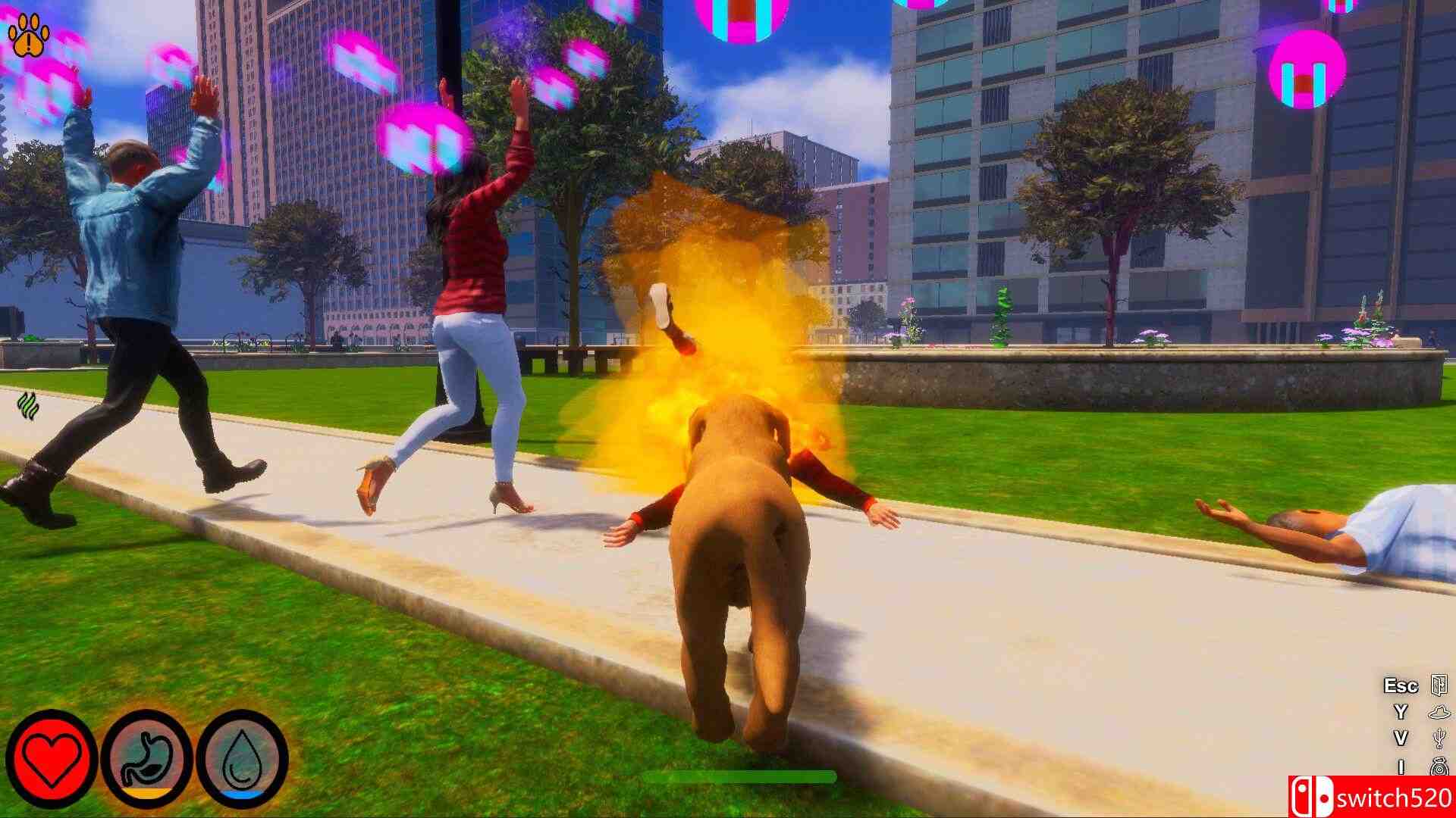 《迷途狗爪（Lost Paws）》官方中文 TENOKE镜像版[CN/EN/JP]_3