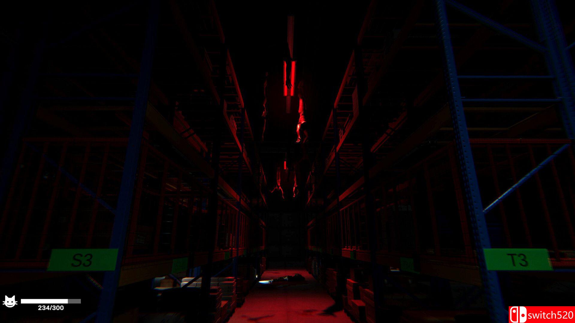 《猫好货坏（ORDER 13）》官方中文 v1.1 DINOByTES镜像版[CN/TW/EN/JP]_5