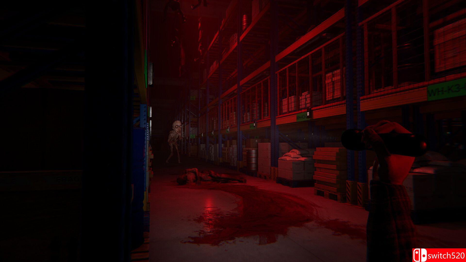 《猫好货坏（ORDER 13）》官方中文 v1.1 DINOByTES镜像版[CN/TW/EN/JP]_2