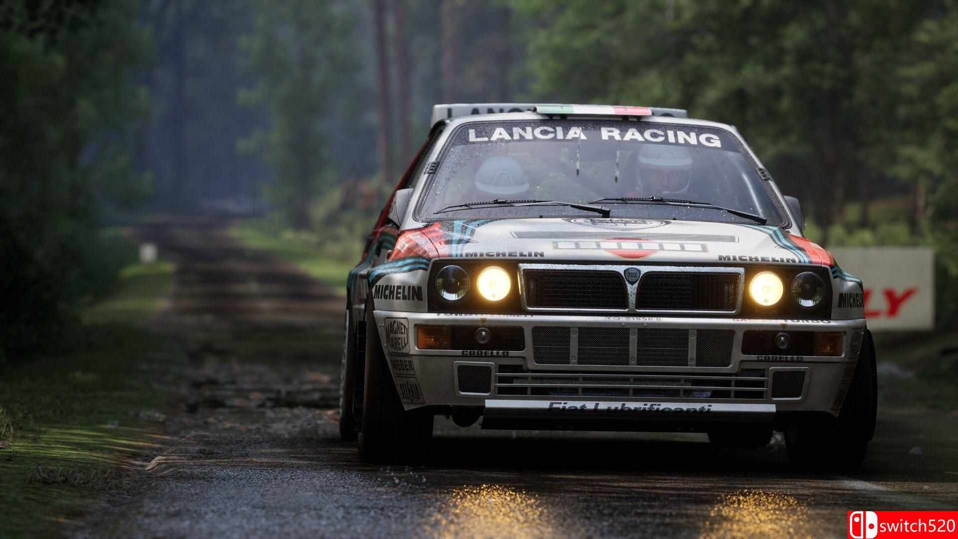 《神力科莎：拉力（Assetto Corsa Rally）》官方中文 Early Access P2P硬盘版[CN/EN]_5