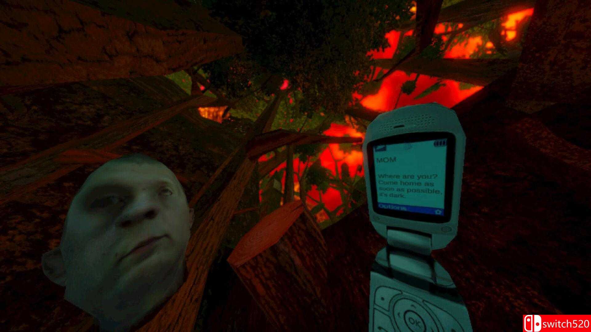 《暴煞狂想2（Violent Horror Stories 2）》官方中文 TENOKE镜像版[CN/EN]_1