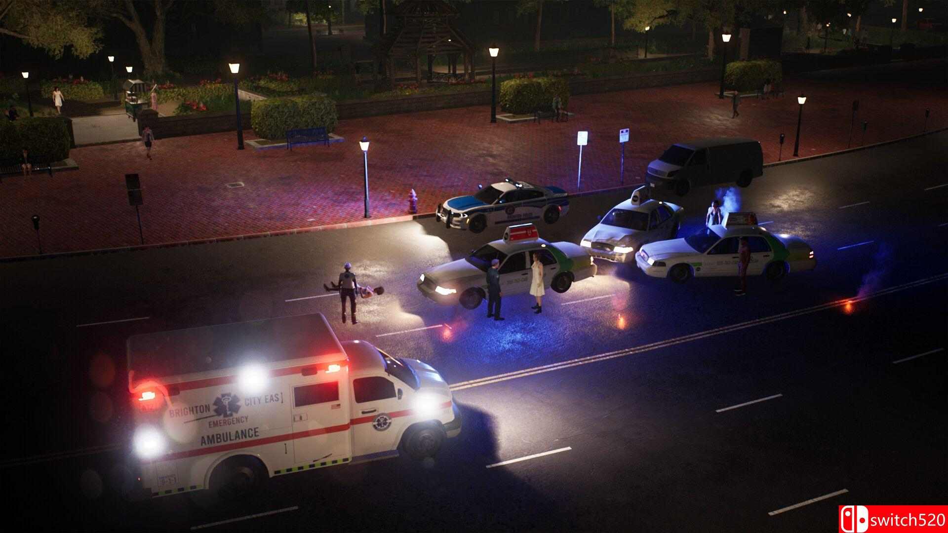 《警察模拟器：巡警（Police Simulator: Patrol Officers）》集成违禁品扩展包 RUNE镜像版[CN/EN]_3