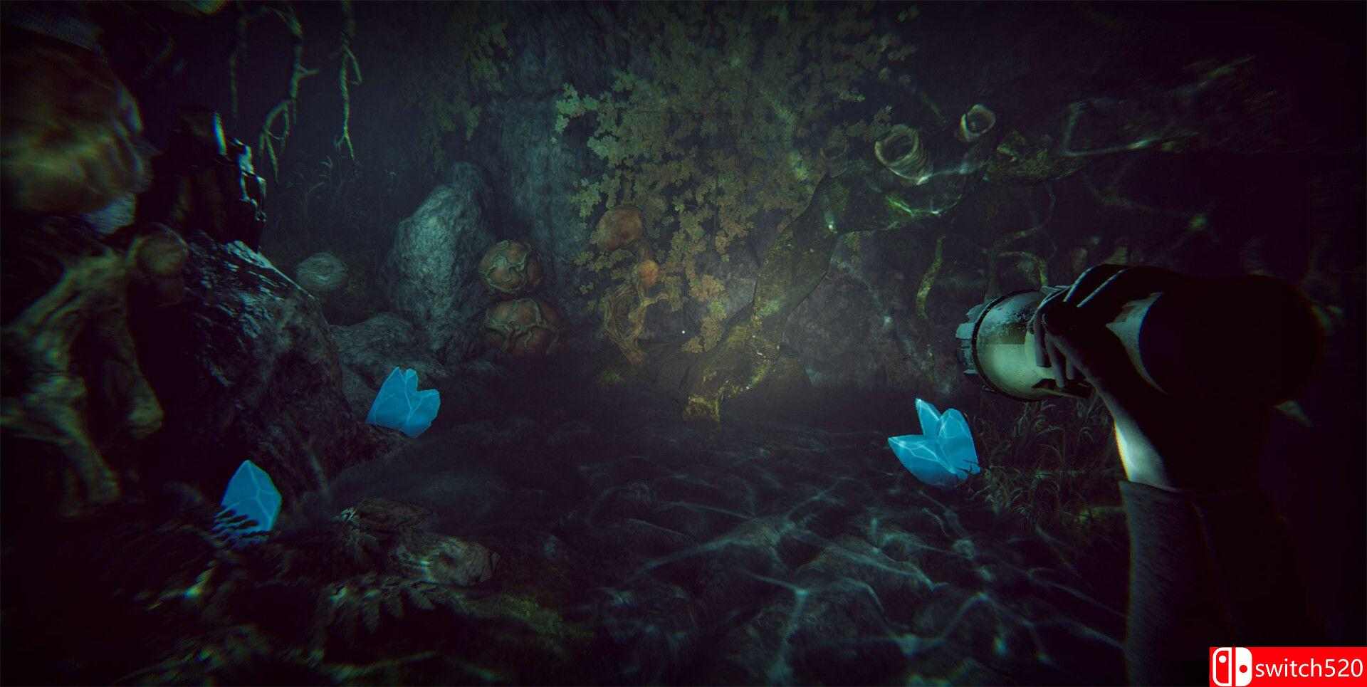 《Morphos（Morphos）》官方中文 TENOKE镜像版[CN/EN/JP]_3