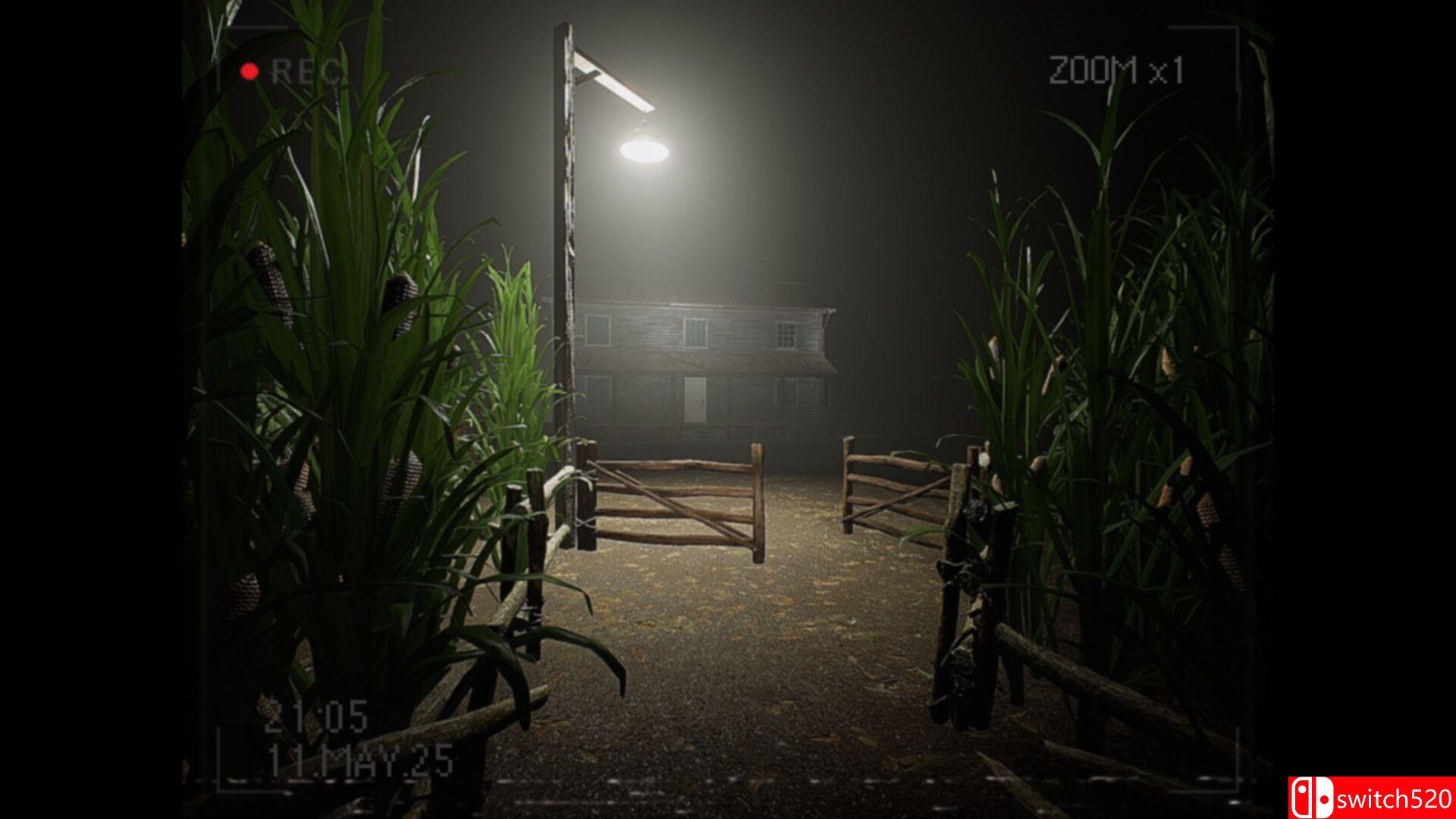 《莉莉发生了什么？（What Happened to Lily?）》官方中文 Build 19335260 P2P硬盘版[CN/EN/JP]_2