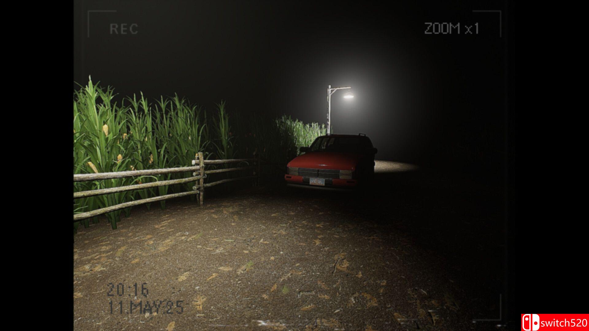 《莉莉发生了什么？（What Happened to Lily?）》官方中文 Build 19335260 P2P硬盘版[CN/EN/JP]_1