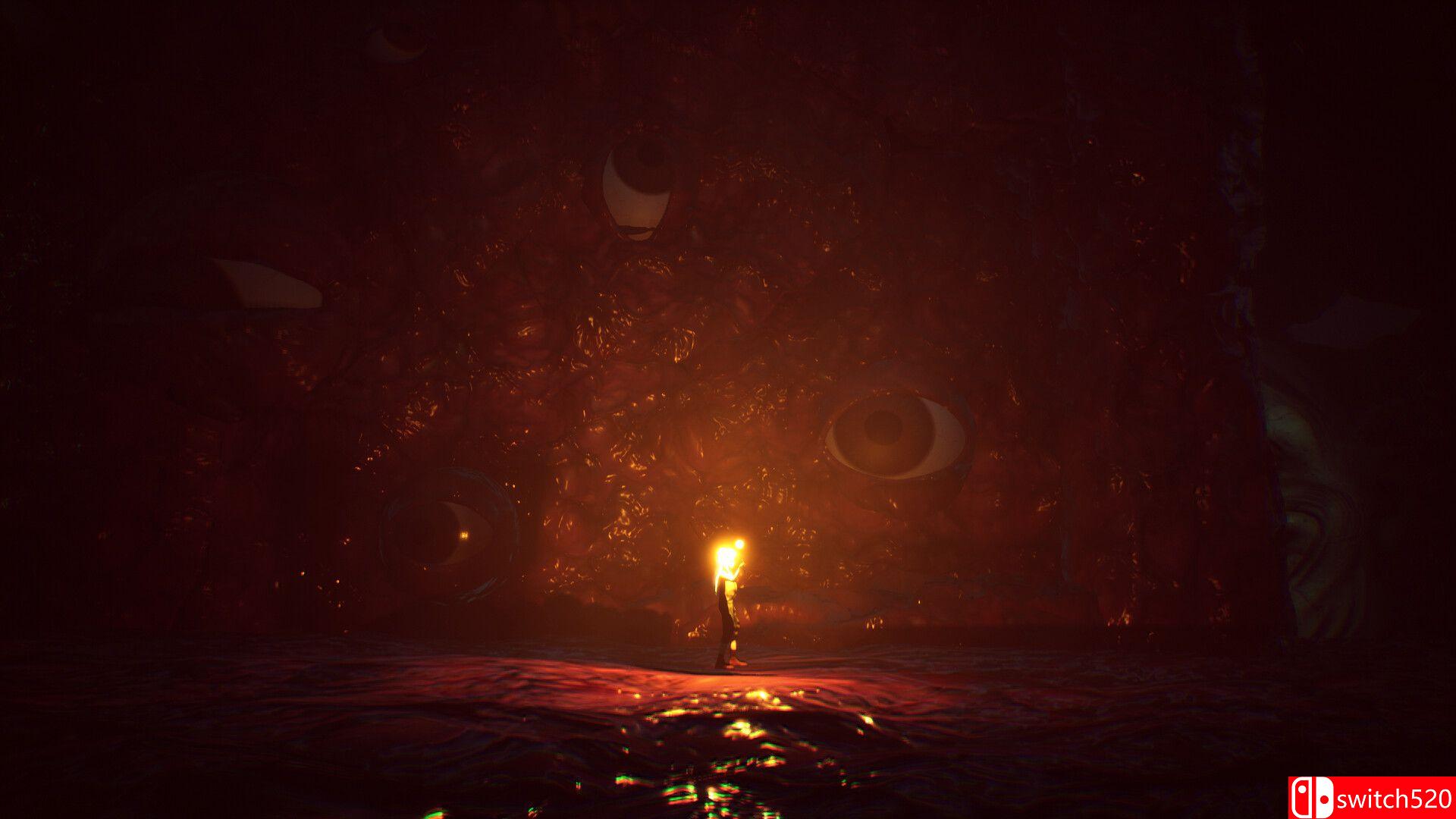 《寂静之国的波斯菊（Ayasa: Shadows of Silence）》官方中文 TENOKE镜像版[CN/EN/JP]_4