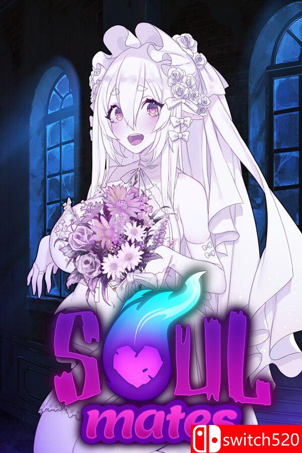 《灵魂伴侣（Soul Mates）》Build 20807320 P2P硬盘版[EN]