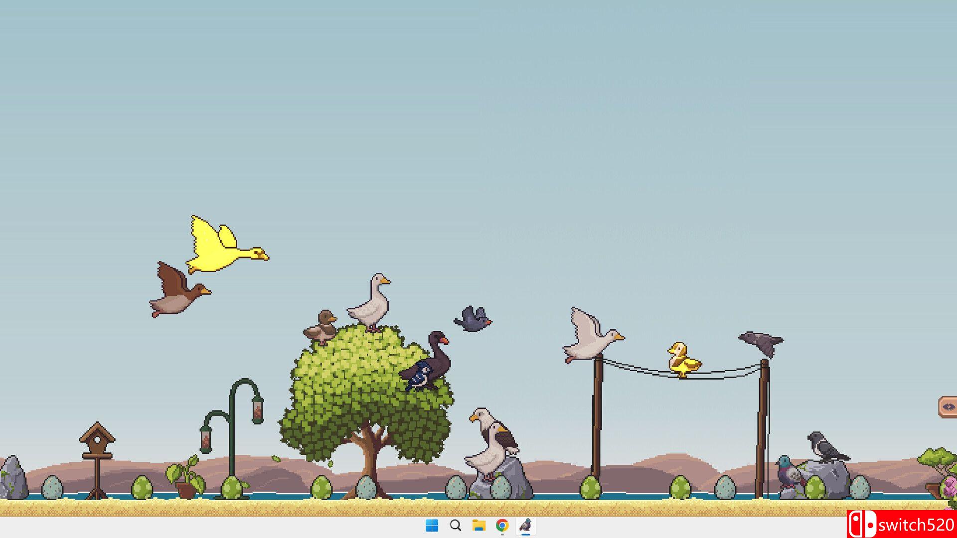 《桌面鸟舍：小小鸟陪你摸大鱼（Little Aviary）》官方中文 Build 20979999 P2P硬盘版[CN/TW/EN/JP]_2