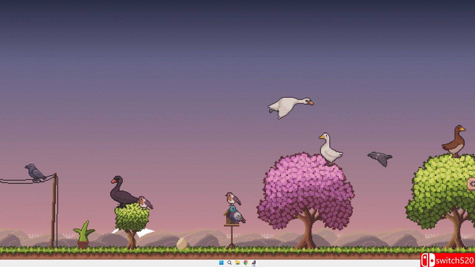 《桌面鸟舍：小小鸟陪你摸大鱼（Little Aviary）》官方中文 Build 20979999 P2P硬盘版[CN/TW/EN/JP]_5