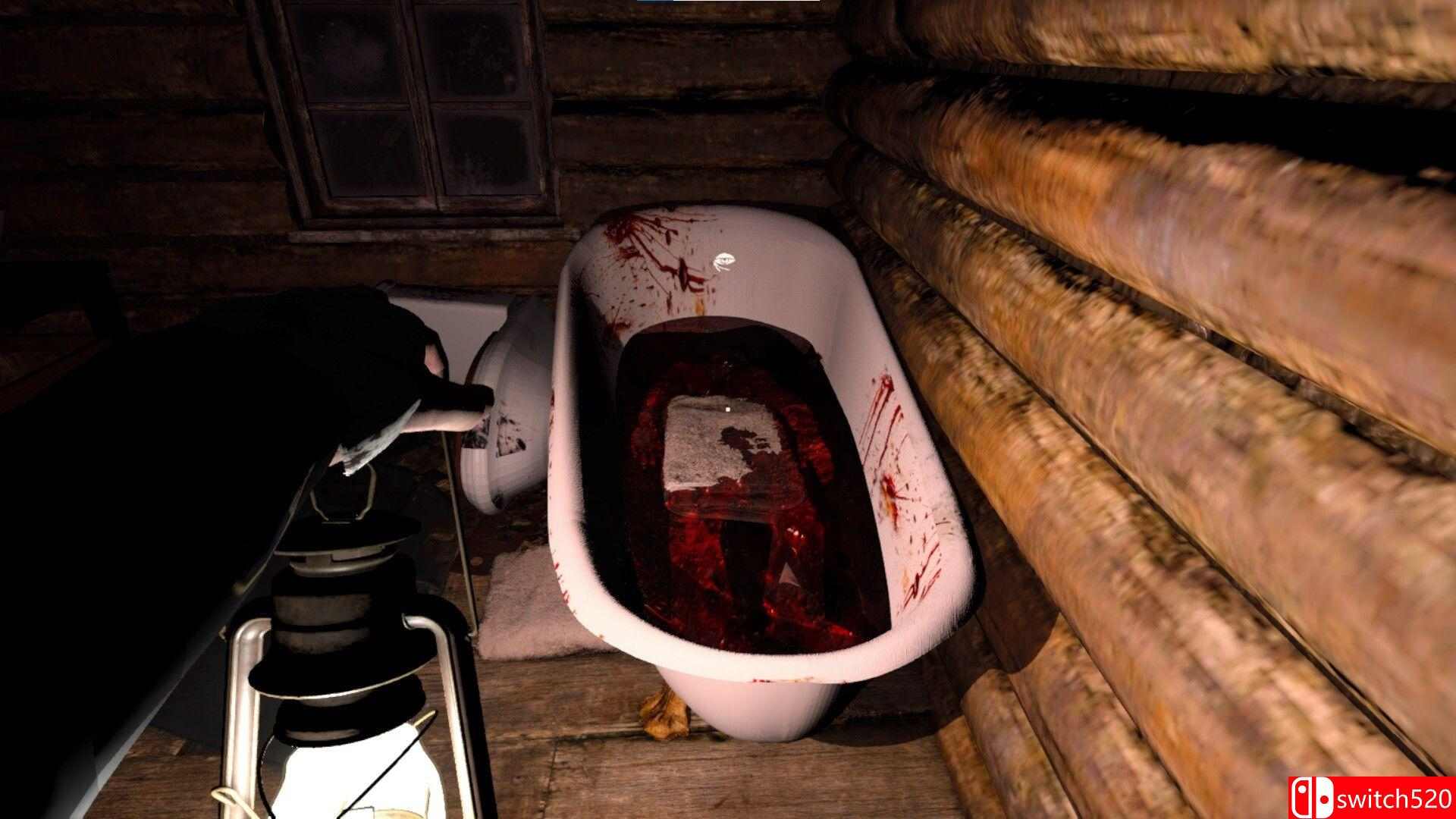 《风暴回响（Echoes in the Storm）》Build 20679609 P2P硬盘版[EN]_5