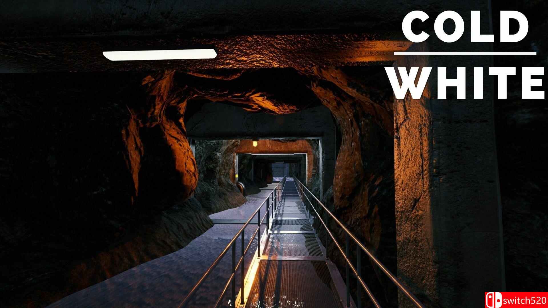 《冷白（The Cold White）》官方中文 TENOKE镜像版[CN/TW/EN/JP]_5