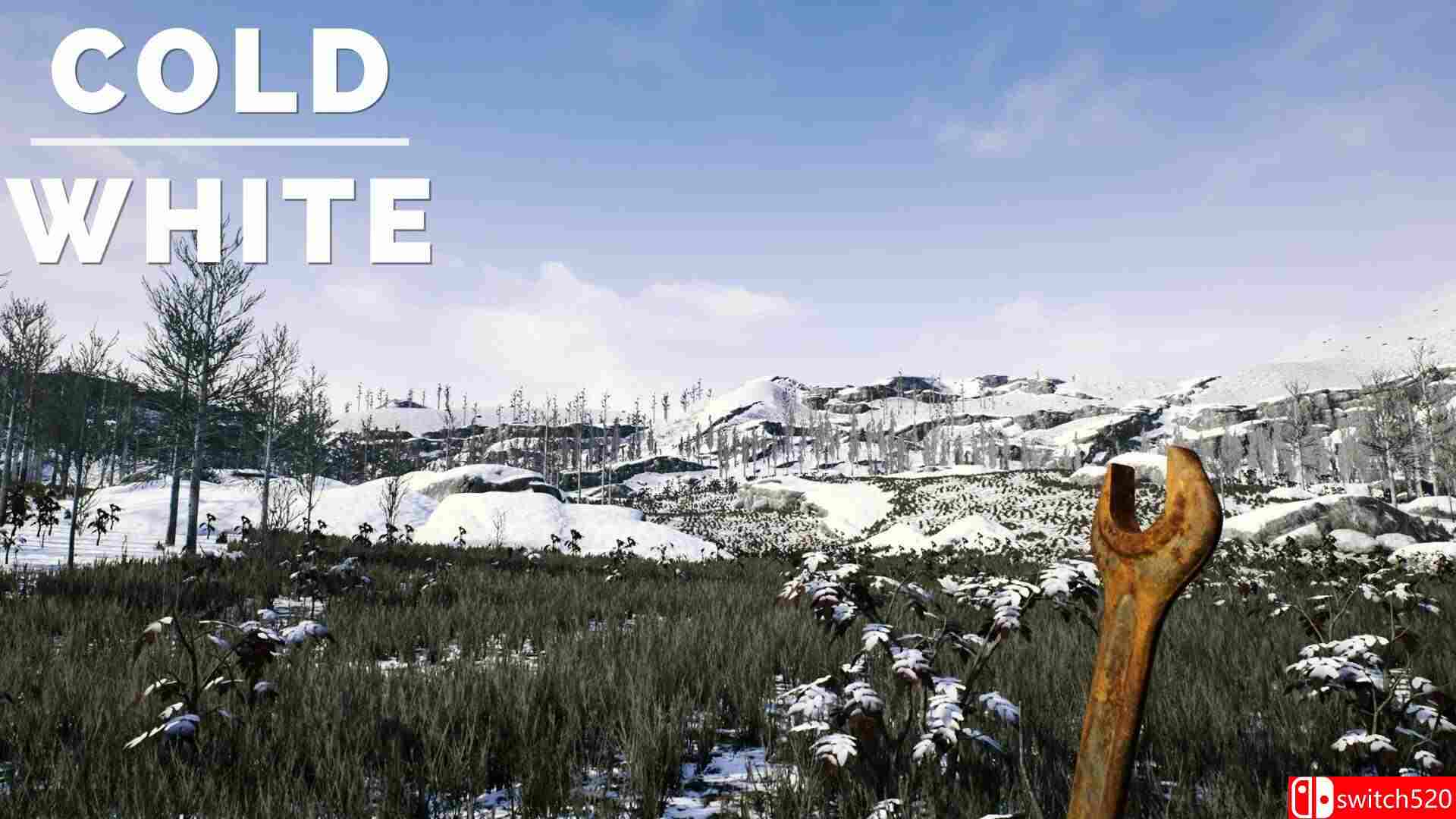 《冷白（The Cold White）》官方中文 TENOKE镜像版[CN/TW/EN/JP]_4