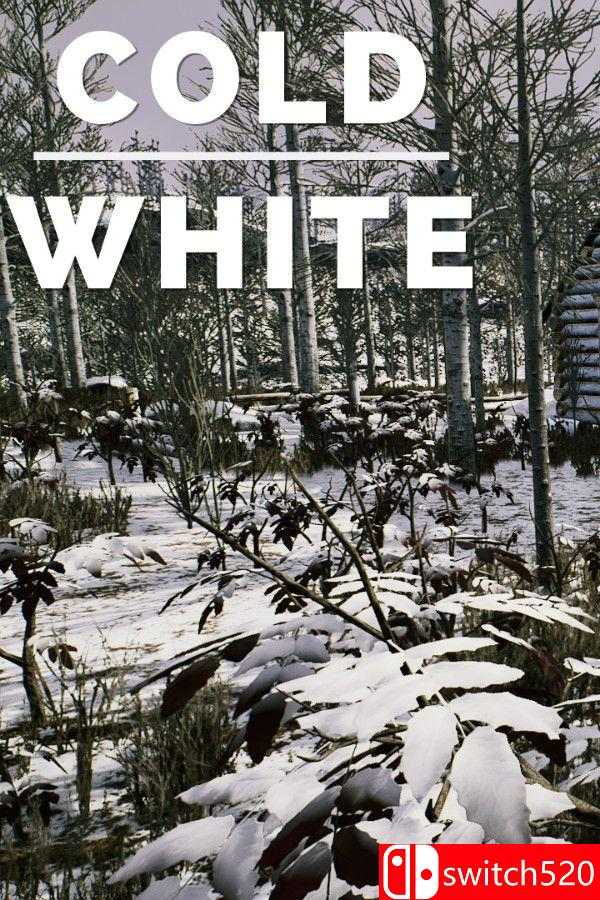 《冷白（The Cold White）》官方中文 TENOKE镜像版[CN/TW/EN/JP]