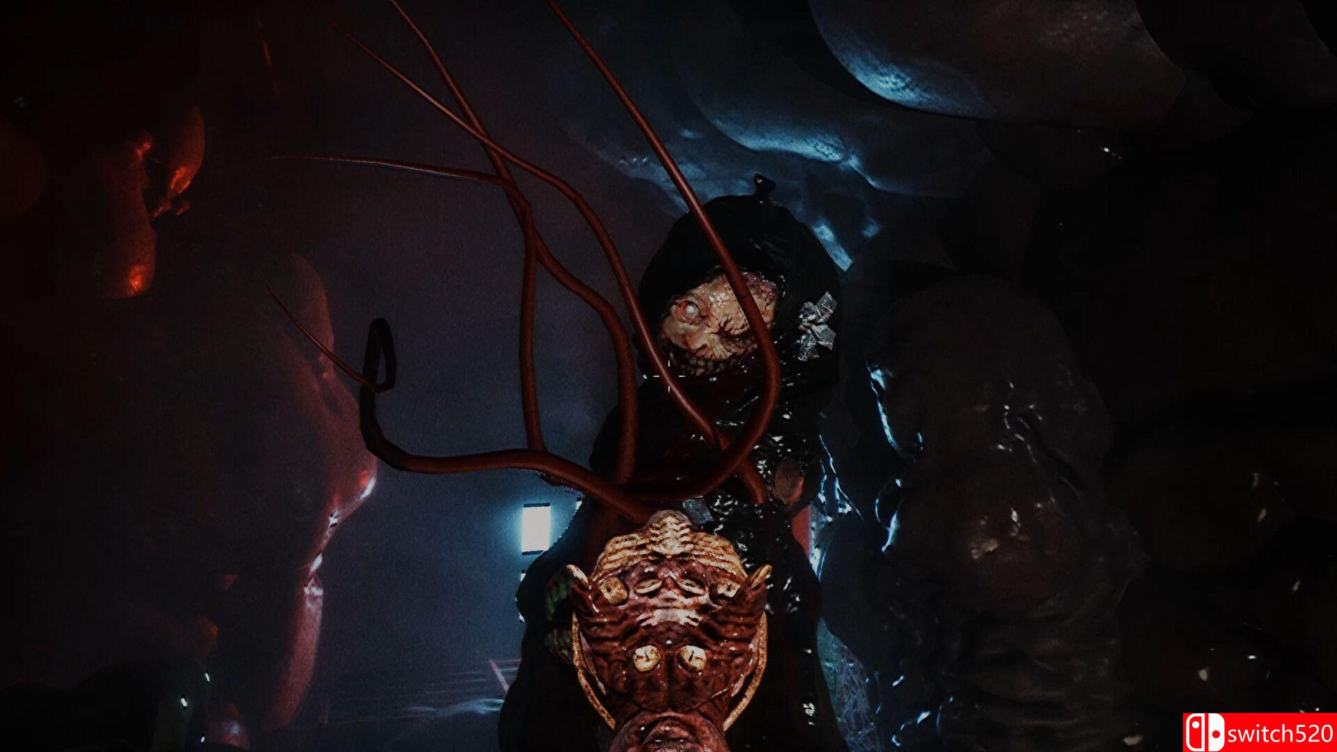 《录像怪谈（Dead Format）》P2P硬盘版[EN]_2