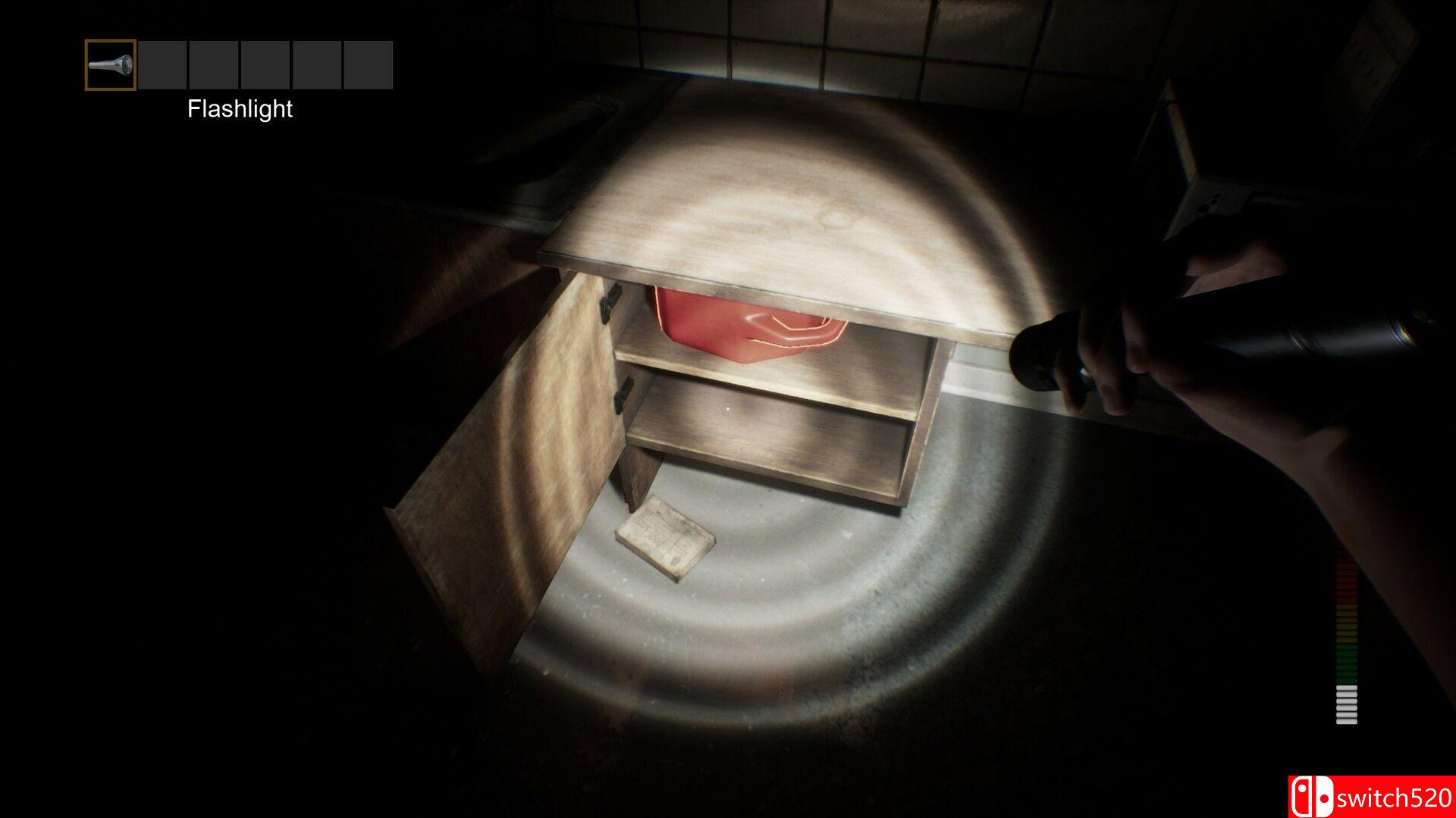 《恐慌核心（PANICORE）》官方中文 v1.3 TENOKE镜像版[CN/EN/JP]_1