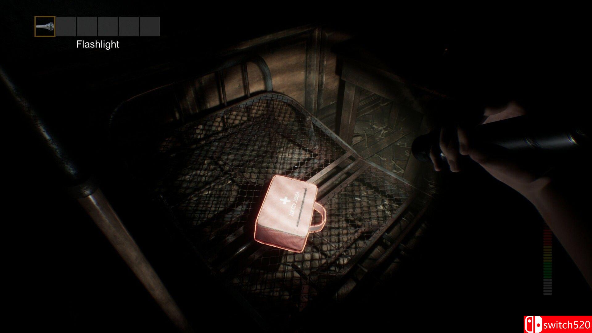 《恐慌核心（PANICORE）》官方中文 v1.3 TENOKE镜像版[CN/EN/JP]_3