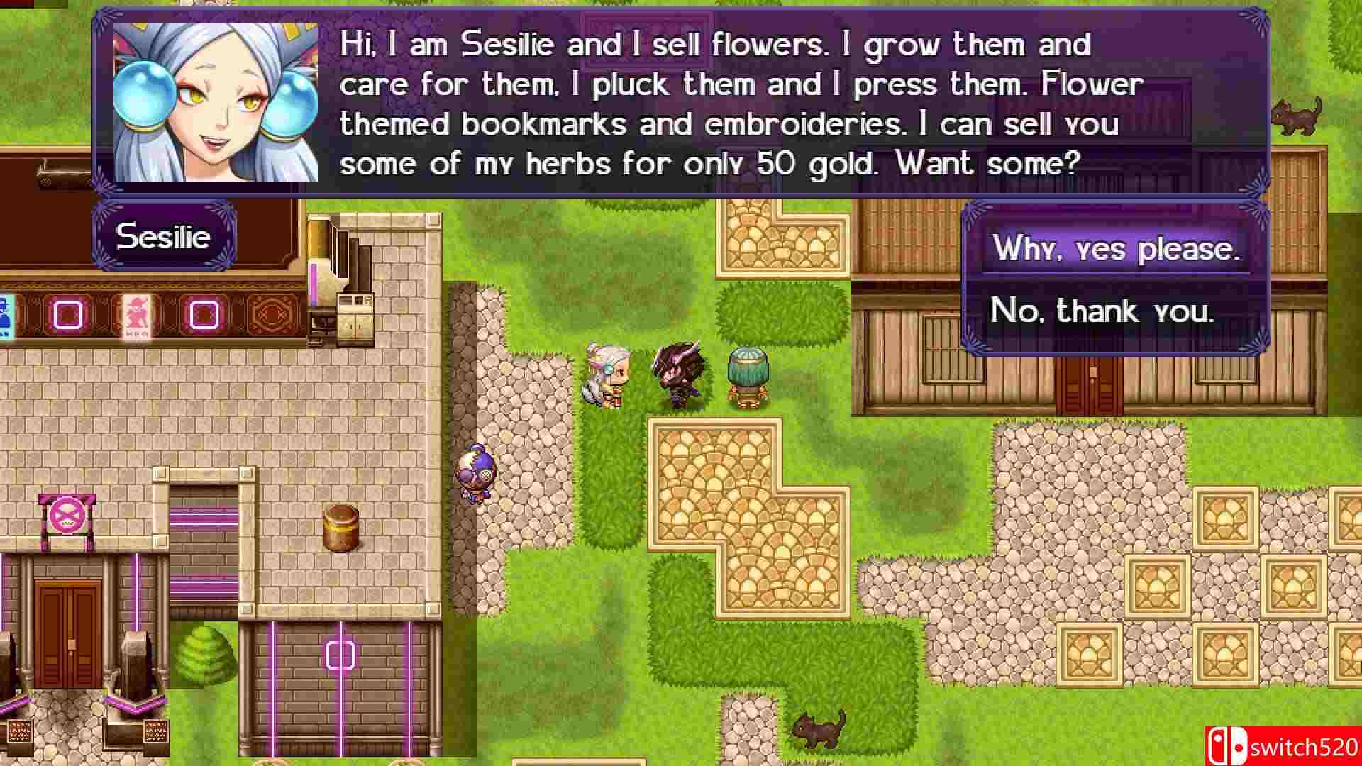 《黑骑士编年史：无时寡妇（The Black Knight Chronicles）》B.20820234 P2P硬盘版[EN]_2