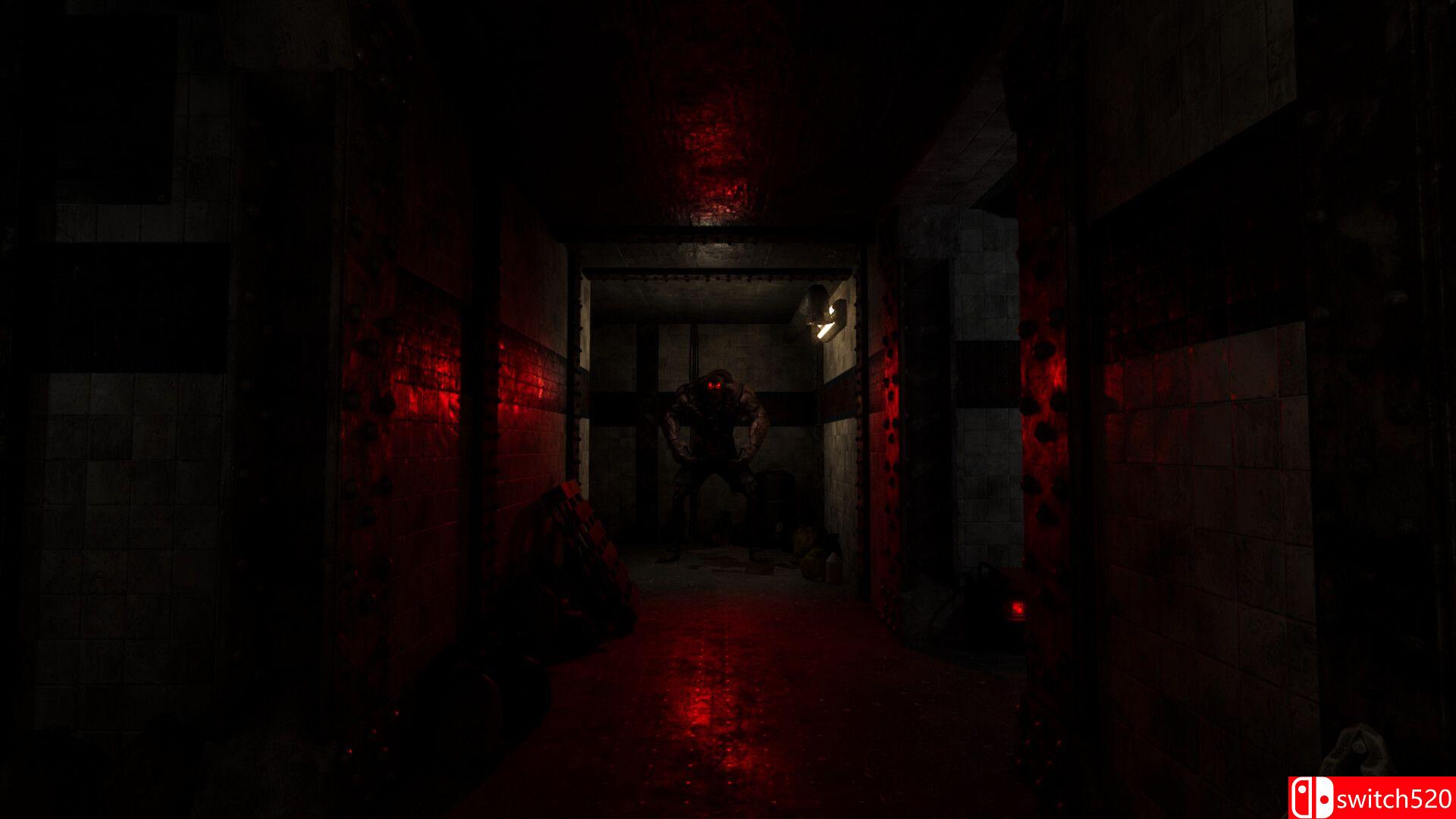 《幽暗走廊（THE WALLWAY）》Build 21325039 P2P硬盘版[EN]_3