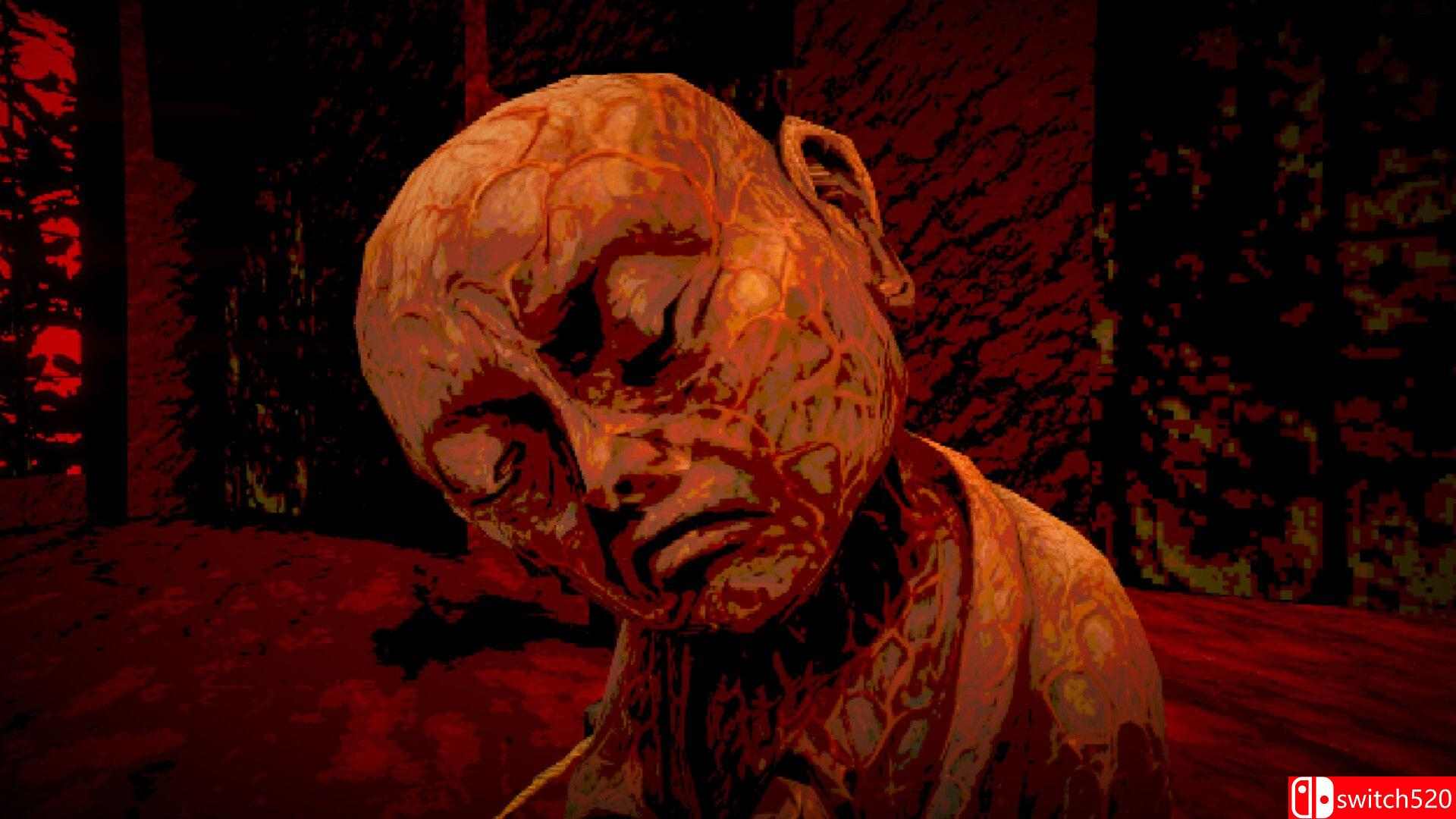 《酱油拉面永远（Shoyu Ramen Forever）》官方中文 TENOKE镜像版[CN/EN/JP]_3