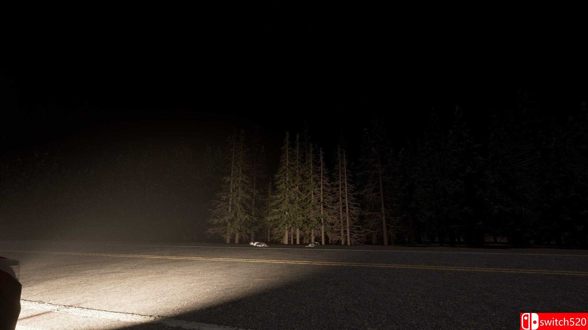 《11号公路（Highway 11）》Build 20772319 P2P硬盘版[EN]_5