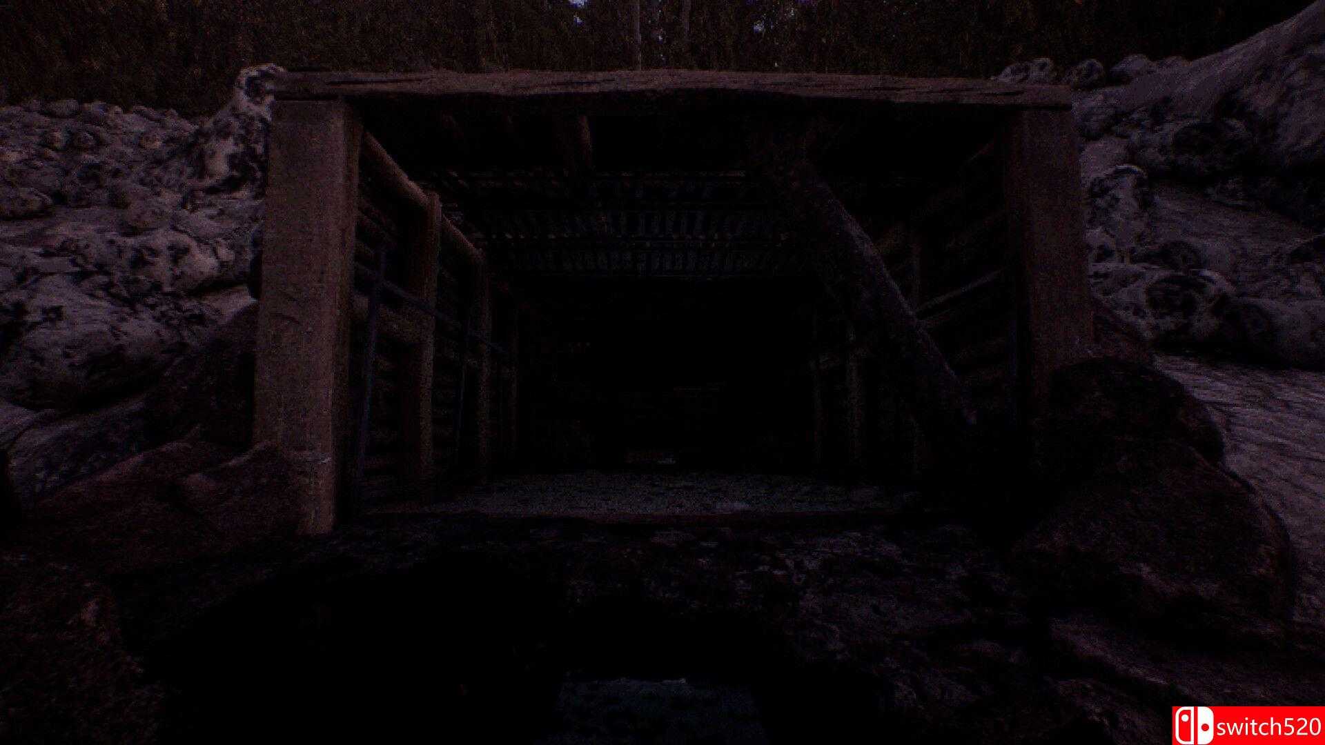 《守望森林：虱影（The Watching Woods: The Louse）》官方中文 P2P硬盘版[CN/EN/JP]_5