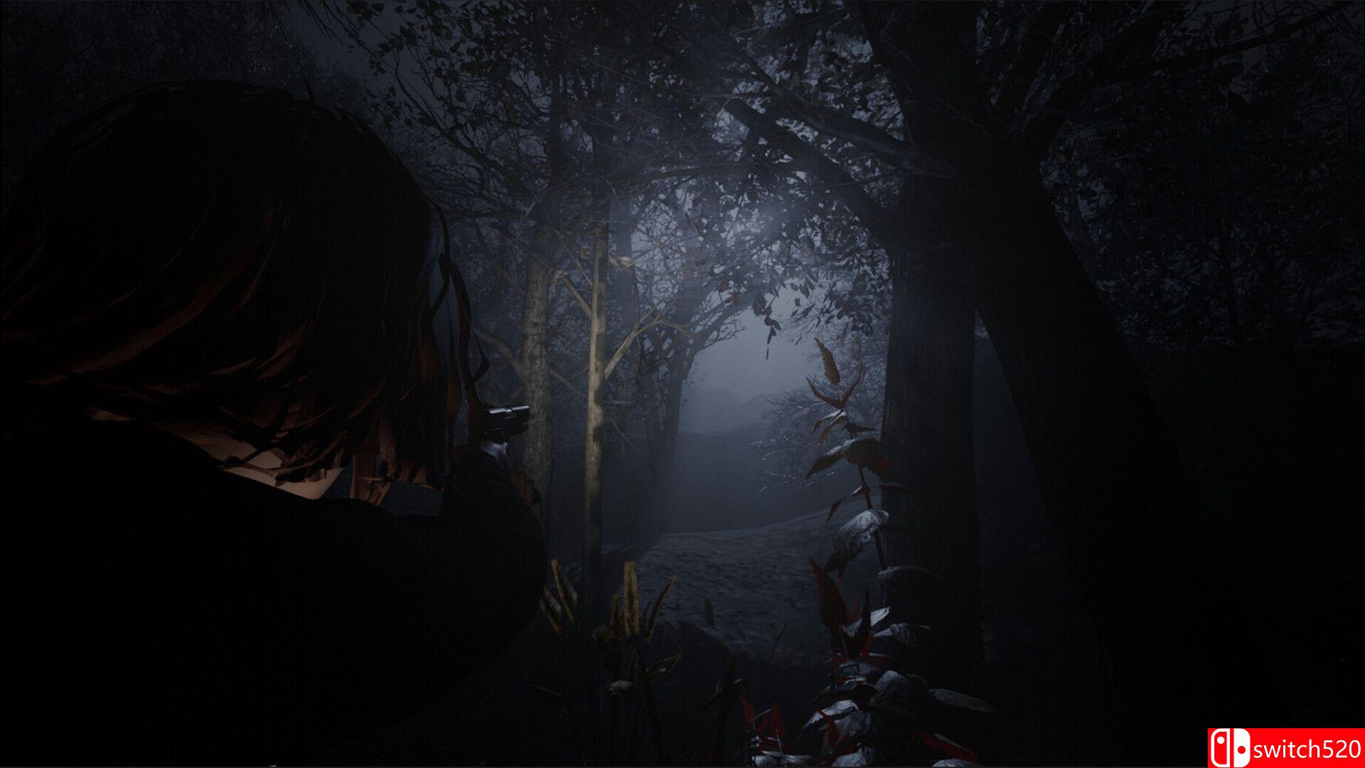 《黎明教派（Cult of Dawn）》Early Access P2P硬盘版[EN]_2